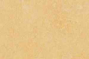 Линолеум Forbo Marmoleum Marbled Authentic 3846 natural corn фото  | FLOORDEALER